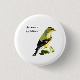 Badge Rond 2,50 Cm Américain Goldfinch