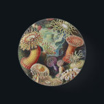 Badge Rond 2,50 Cm Anémones de mer, Actiniae Seeanemonen Ernst Haecke<br><div class="desc">Anémones de mer,  Actiniae Seeanemonen Ernst Haeckel Button</div>