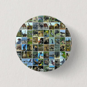 Badge Rond 2,50 Cm Animaux du monde