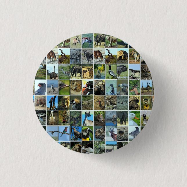 Badge Rond 2,50 Cm Animaux du monde (Devant)