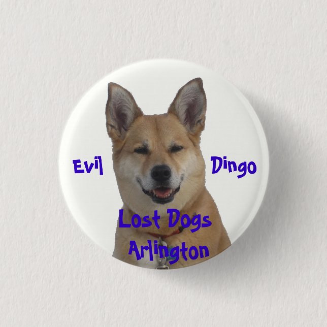 Badge Rond 2,50 Cm annie1234, chiens perdus Arlington, mal           (Devant)