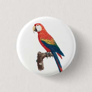 Badge Rond 2,50 Cm Ara Canga Parrot