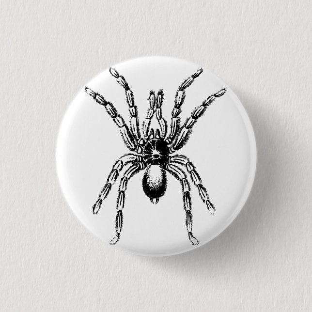 Badge Rond 2,50 Cm araignée tarantule (Devant)