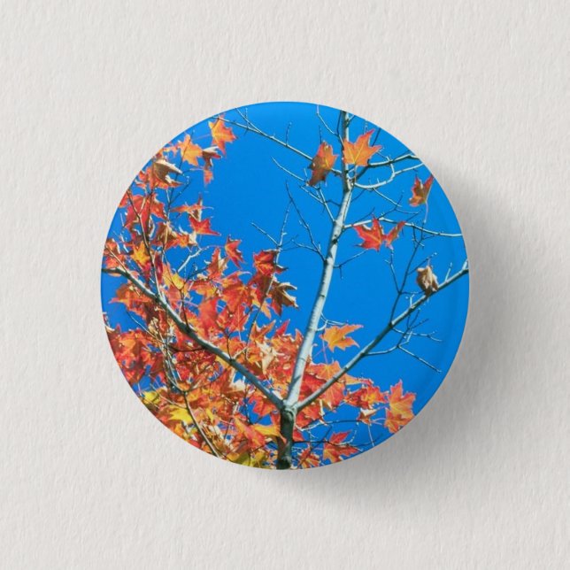 Badge Rond 2,50 Cm Arbre d'automne du ciel bleu (Devant)