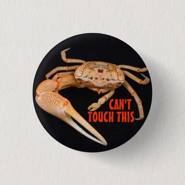 Badge Rond 2,50 Cm Arrêtez le temps de violoneur (Devant)