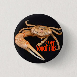 Badge Rond 2,50 Cm Arrêtez le temps de violoneur