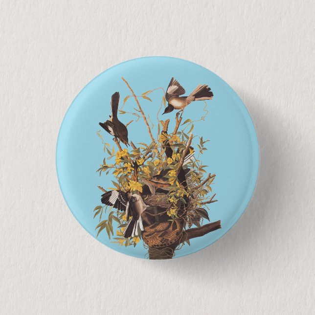 Badge Rond 2,50 Cm Audubon's Mockingbirds vs Rattlesnake (Devant)