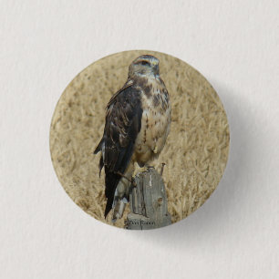 Badge Rond 2,50 Cm B35 Buse ferrugineuse dans un champ de blé