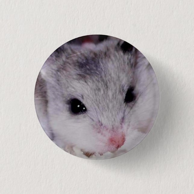 Badge Rond 2,50 Cm babyham (Devant)
