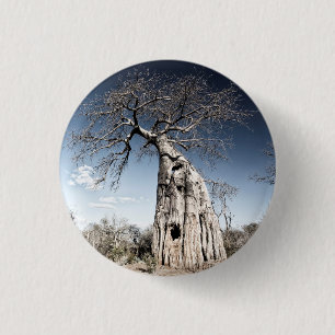 Badge Rond 2,50 Cm Baobab Tree in Mana Pools National Park, Zimbabwe