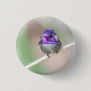 Badge Rond 2,50 Cm Beau colibri de Costa 