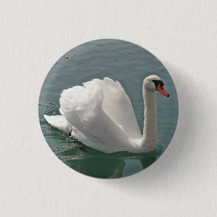 Badge Rond 2,50 Cm Beau cygne blanc
