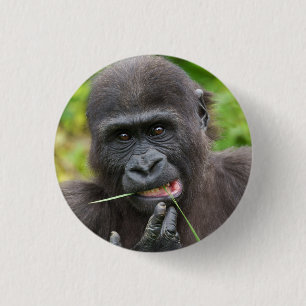 Badge Rond 2,50 Cm Bébé Gorilla Cuteness