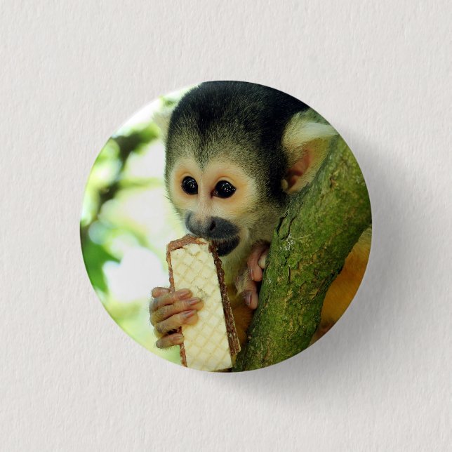 Badge Rond 2,50 Cm Bébé singe écureuil mignon mangeant un biscuit gau (Devant)