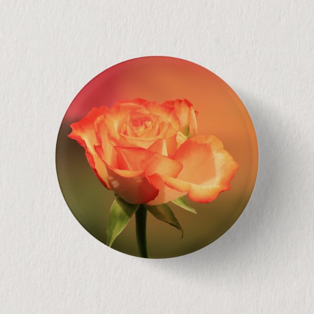 Badge Rond 2,50 Cm Belle photo de Rose romantique (Devant)