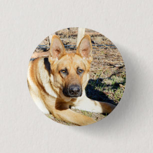 Badge Rond 2,50 Cm Berger Allemand Réveillez-Vous, Cercle Clé