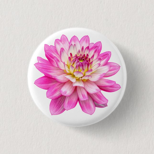 Badge Rond 2,50 Cm Big Rose Dahlia (Devant)