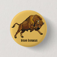 bison européen