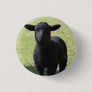 Badge Rond 2,50 Cm Black Sheep - Bouton