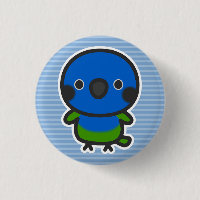 Bleu-couronné Conure