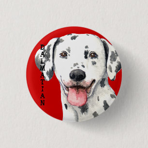 Badge Rond 2,50 Cm Bloc de couleur dalmate