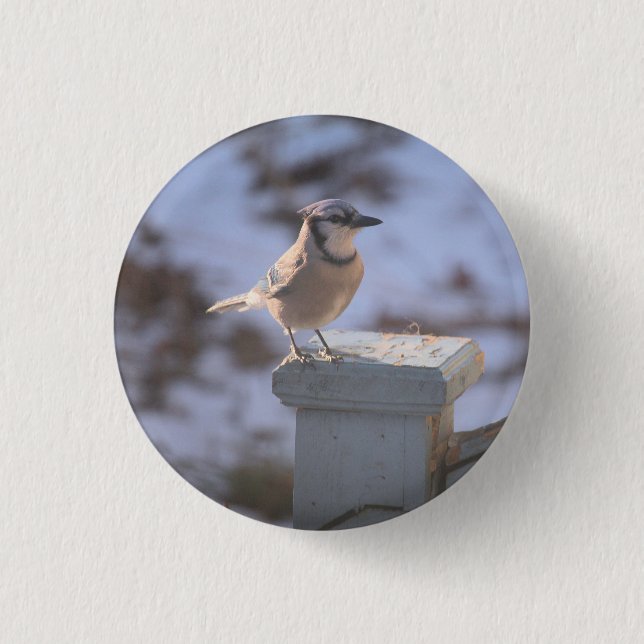 Badge Rond 2,50 Cm Blue Jay (Devant)