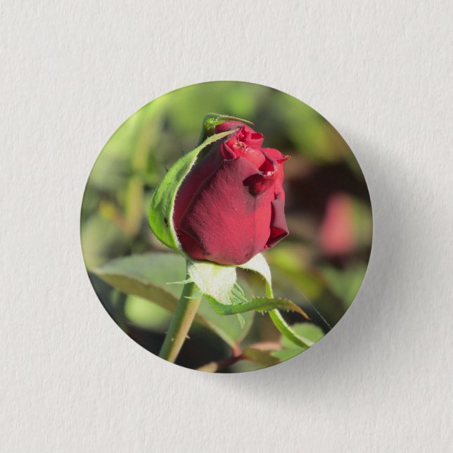 Badge Rond 2,50 Cm Bourgeon de rose rouge (Devant)