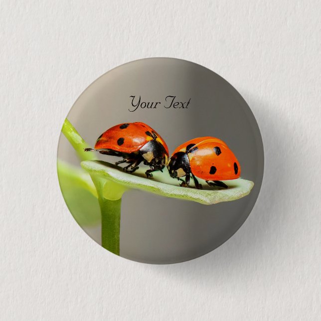 Badge Rond 2,50 Cm Bouton à épingler Ladybugs Beetles (Devant)