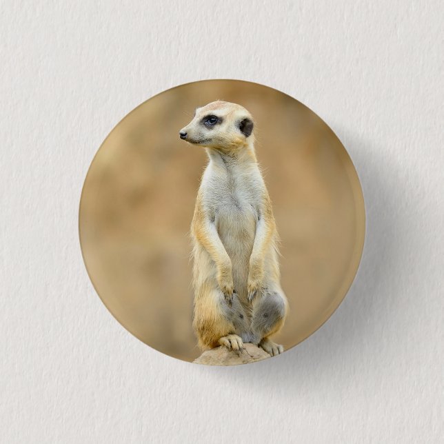 Badge Rond 2,50 Cm Bouton avec Meerkat sur garde (Devant)
