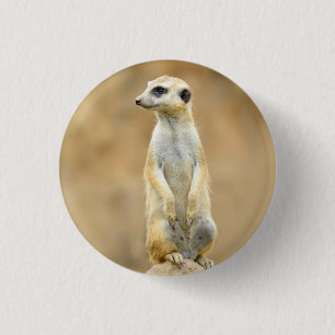 Badge Rond 2,50 Cm Bouton avec Meerkat sur garde