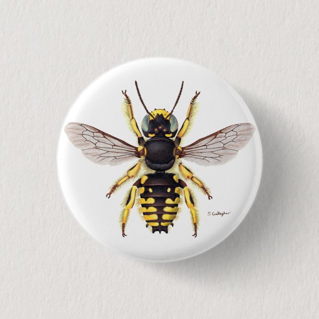 Badge Rond 2,50 Cm bouton bee de carder de laine (Devant)