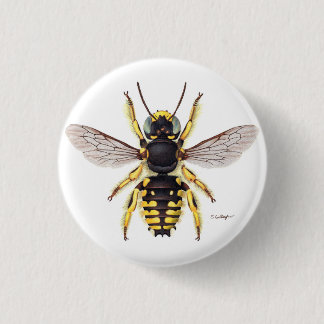 Badge Rond 2,50 Cm bouton bee de carder de laine