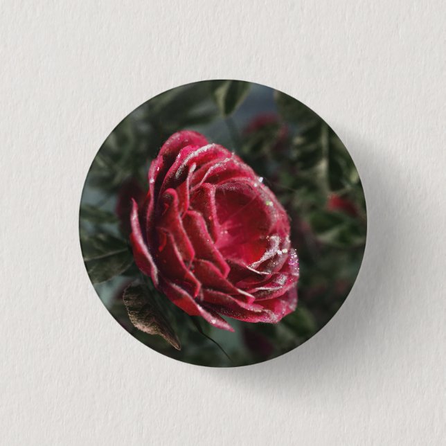 Badge Rond 2,50 Cm Bouton cadeau de départ d'hiver (Devant)