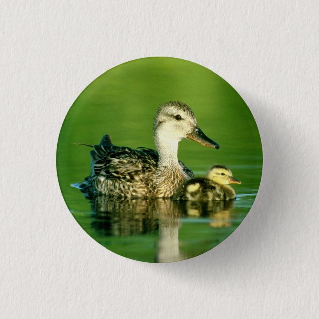Badge Rond 2,50 Cm Bouton Cute Ducks (Devant)