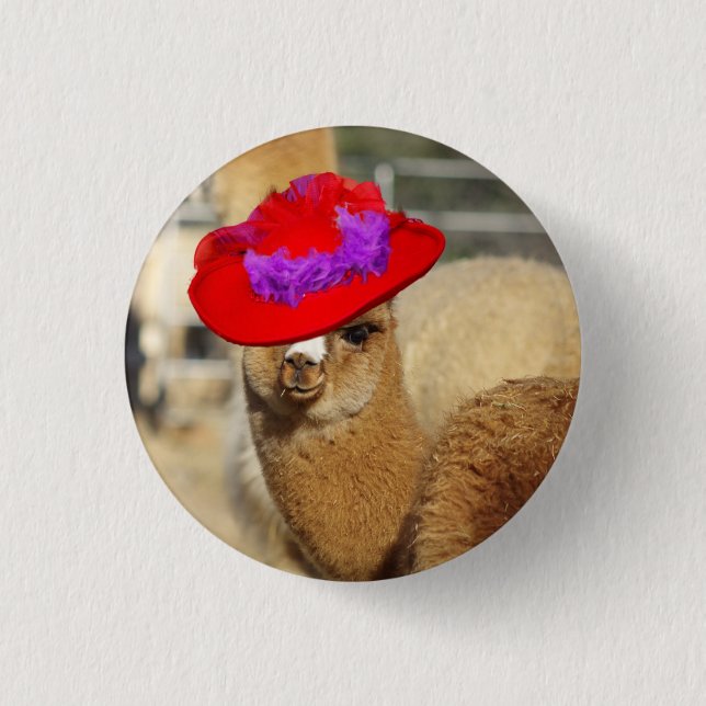 Badge Rond 2,50 Cm Bouton d'alpaga (Devant)
