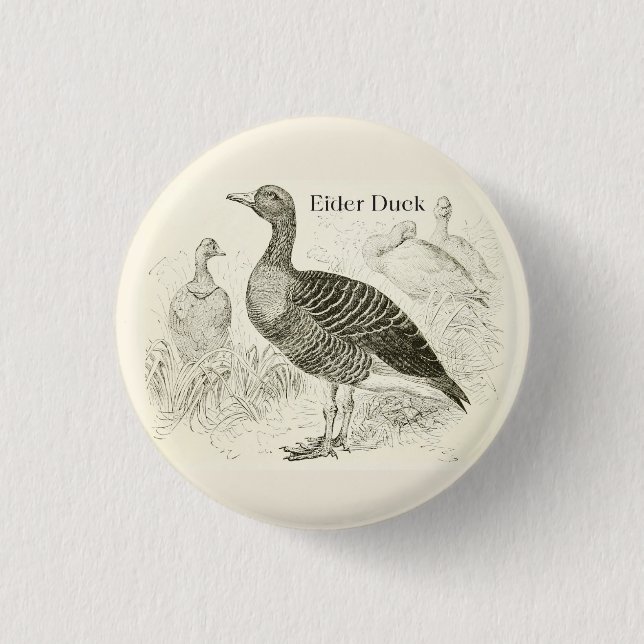 Badge Rond 2,50 Cm Bouton de Canard Eider (Devant)