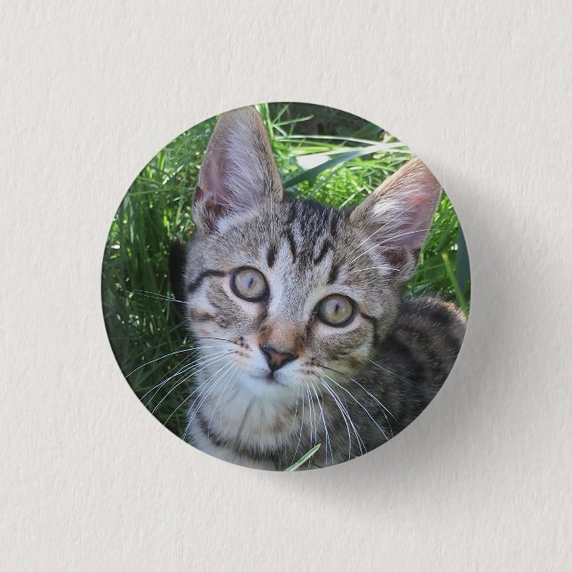 Badge Rond 2,50 Cm Bouton de chat tigré gris (Devant)