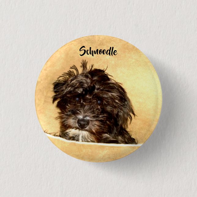 Badge Rond 2,50 Cm Bouton de chien Schnoodle (Devant)