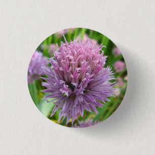 Badge Rond 2,50 Cm Bouton de floraison de ciboulette