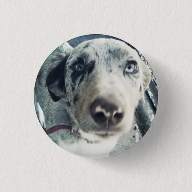 Badge Rond 2,50 Cm Bouton de Jack (Devant)