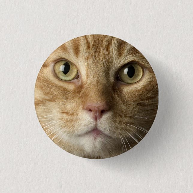 Badge Rond 2,50 Cm Bouton de Kitty (Devant)