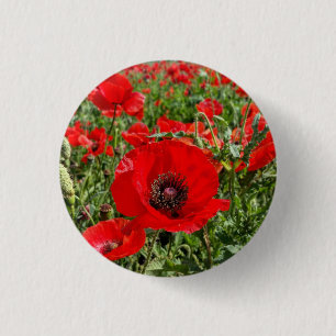 Badge Rond 2,50 Cm Bouton de pavot de la Flandre