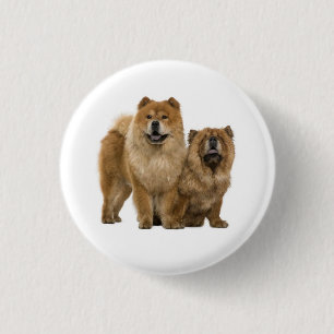 Badge Rond 2,50 Cm Bouton épinglé Chien Chow Chow Mignon