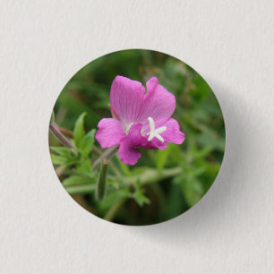 Badge Rond 2,50 Cm Bouton Fleur sauvage Campion rouge