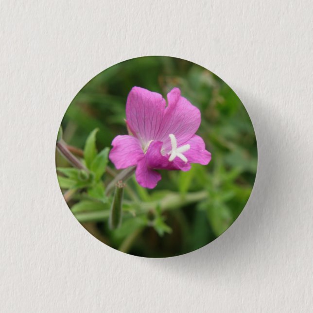 Badge Rond 2,50 Cm Bouton Fleur sauvage Campion rouge (Devant)