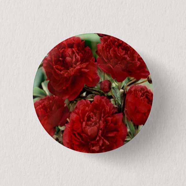 Badge Rond 2,50 Cm Bouton Fleurs de carnation rouge (Devant)