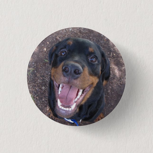 Badge Rond 2,50 Cm Bouton Heidi Happy Rottweiler (Devant)