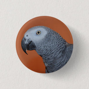 Badge Rond 2,50 Cm Bouton/insigne oranges de perroquet de gris