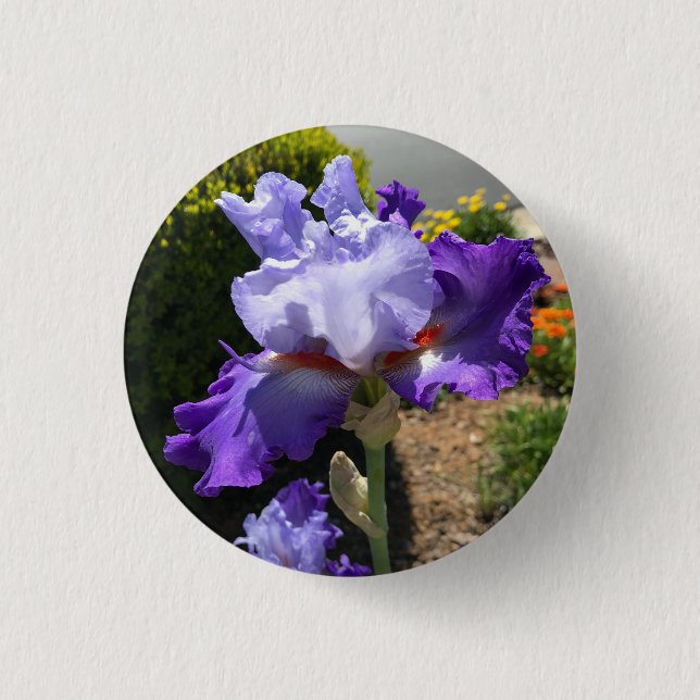Badge Rond 2,50 Cm Bouton Iris à fond violet (Devant)