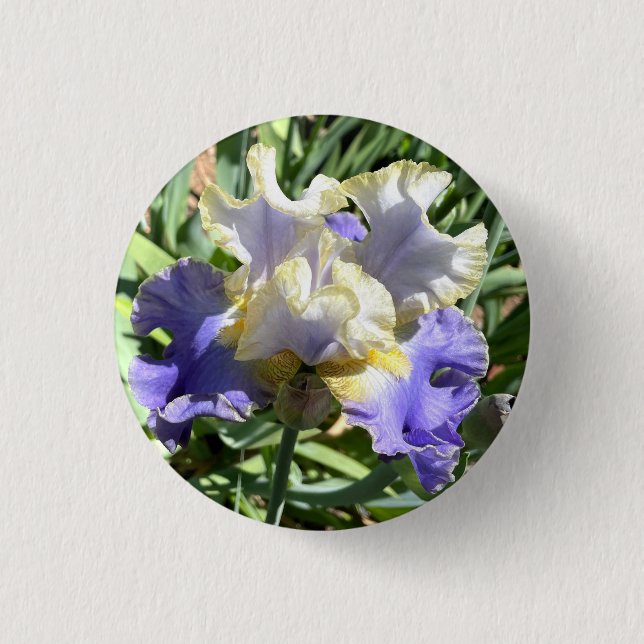 Badge Rond 2,50 Cm Bouton Iris doré (Devant)